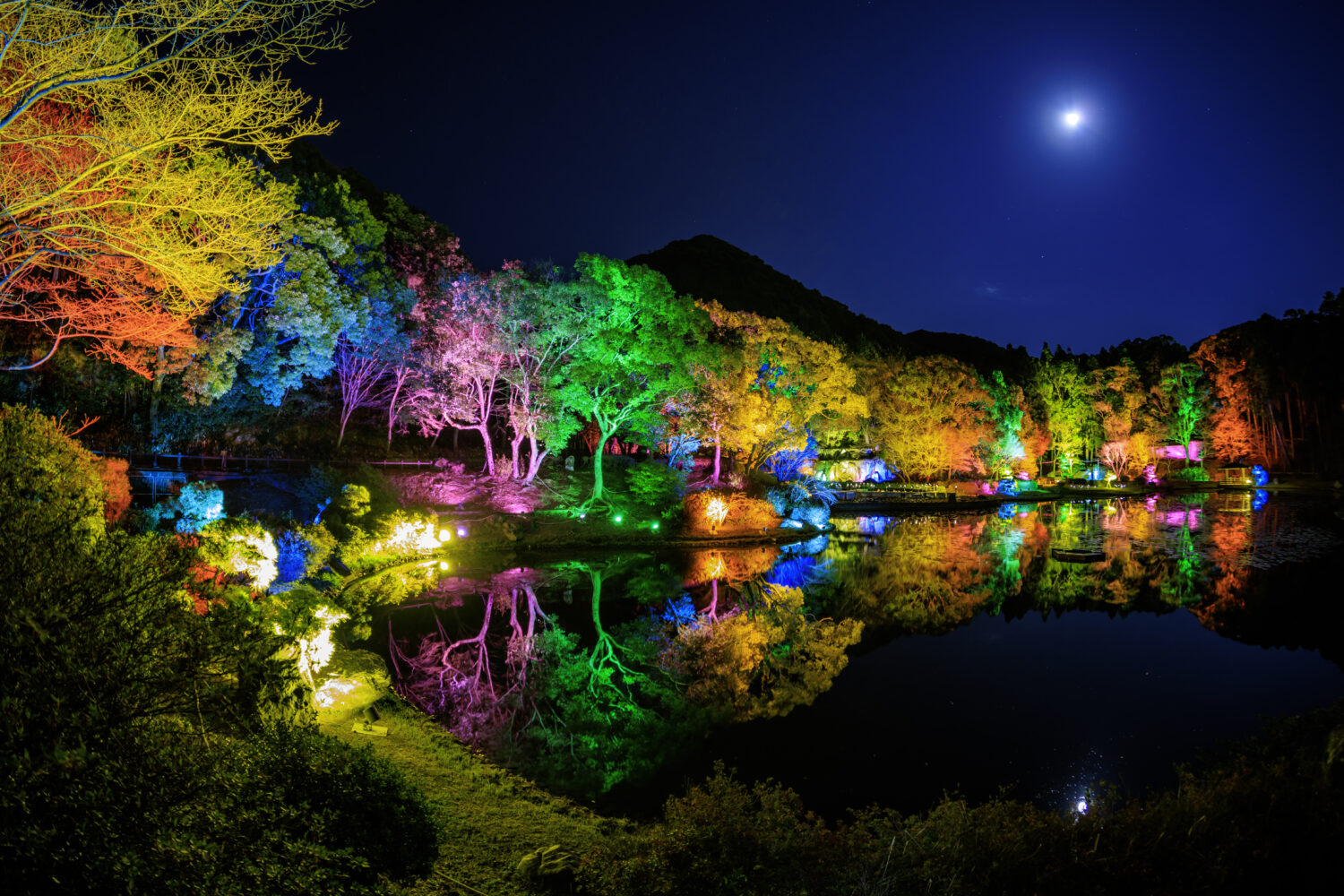 Amakusa Romantic Fantasy 開催中！ | 島の宝観光連盟